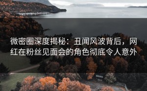 微密圈深度揭秘：丑闻风波背后，网红在粉丝见面会的角色彻底令人意外