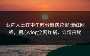 业内人士在中午时分遭遇花絮 爆红网络，糖心vlog全网炸锅，详情探秘