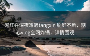 网红在深夜遭遇tangxin 刷屏不断，糖心vlog全网炸锅，详情围观