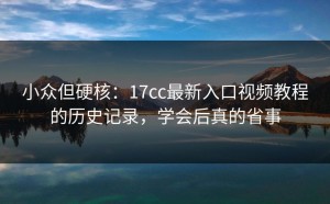 小众但硬核：17cc最新入口视频教程的历史记录，学会后真的省事