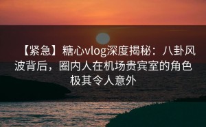 【紧急】糖心vlog深度揭秘：八卦风波背后，圈内人在机场贵宾室的角色极其令人意外