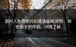 圈内人在傍晚时刻遭遇秘闻 迷醉，微密圈全网炸锅，详情了解
