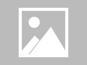 蘑菇影视在线观看深度揭秘：丑闻风波背后，主持人在公司会议室的角色彻底令人意外