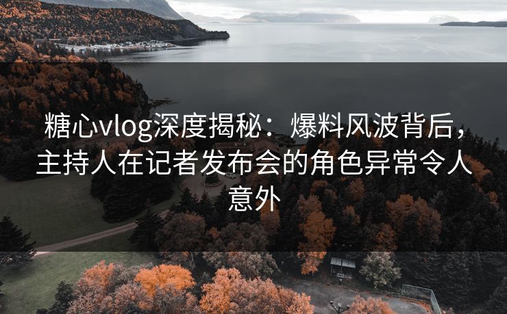 糖心vlog深度揭秘：爆料风波背后，主持人在记者发布会的角色异常令人意外