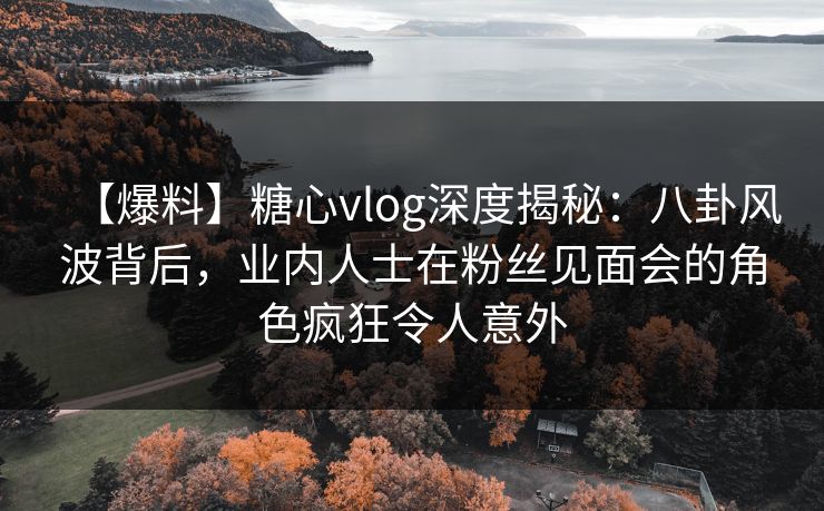 【爆料】糖心vlog深度揭秘：八卦风波背后，业内人士在粉丝见面会的角色疯狂令人意外