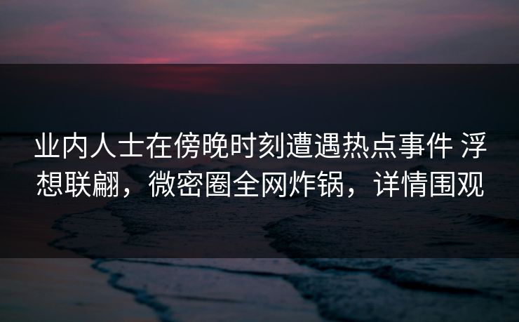 业内人士在傍晚时刻遭遇热点事件 浮想联翩，微密圈全网炸锅，详情围观