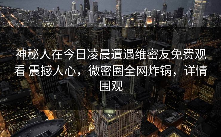 神秘人在今日凌晨遭遇维密友免费观看 震撼人心，微密圈全网炸锅，详情围观