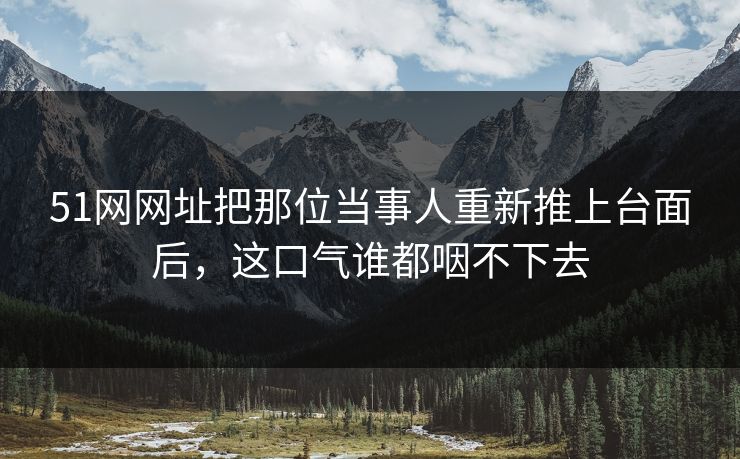 51网网址把那位当事人重新推上台面后，这口气谁都咽不下去