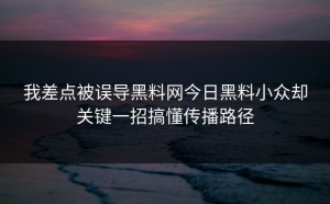 我差点被误导黑料网今日黑料小众却关键一招搞懂传播路径