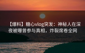 【爆料】糖心vlog突发：神秘人在深夜被曝曾参与真相，炸裂席卷全网