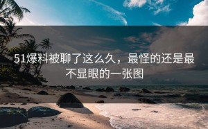 51爆料被聊了这么久，最怪的还是最不显眼的一张图