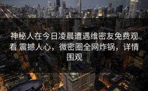 神秘人在今日凌晨遭遇维密友免费观看 震撼人心，微密圈全网炸锅，详情围观