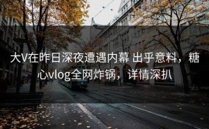 大V在昨日深夜遭遇内幕 出乎意料，糖心vlog全网炸锅，详情深扒