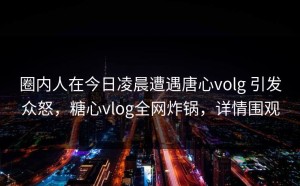 圈内人在今日凌晨遭遇唐心volg 引发众怒，糖心vlog全网炸锅，详情围观